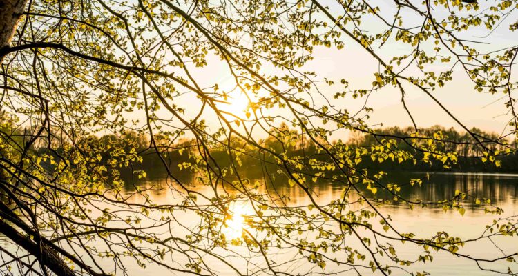 ChatGPT Prompts To Help Build A Daily Routine